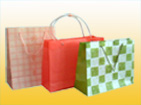  Plastic PP Packaging Bag (Plastic Packaging Bag PP)