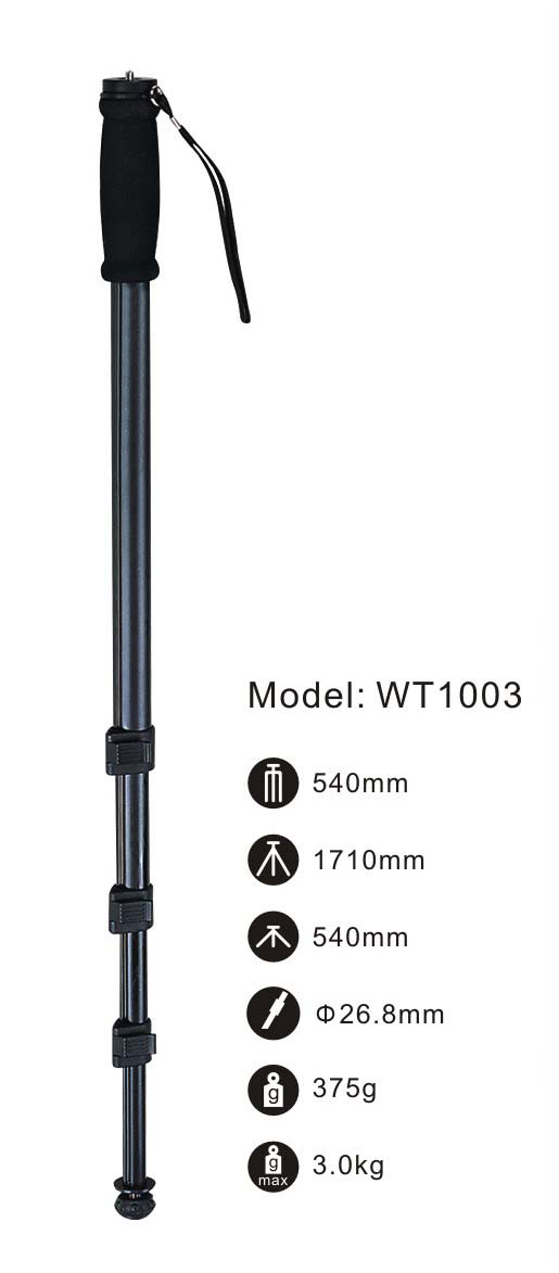  Monopod (Monopod)