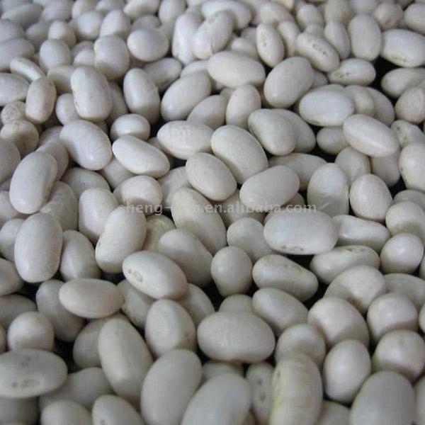  White Kidney Beans (Белый Фасоль)