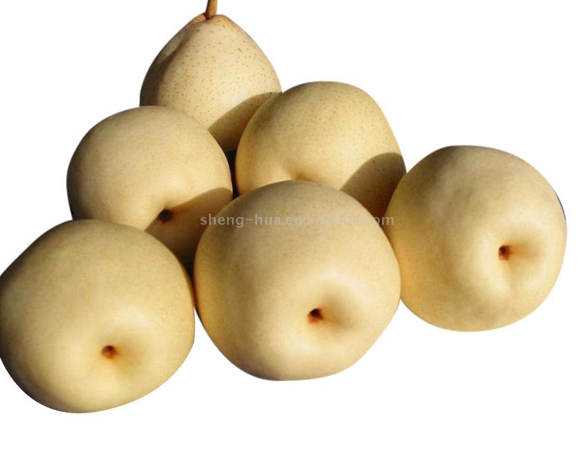  Pears