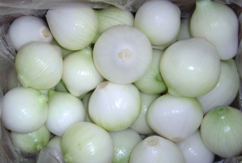  Peeled Onion (Очищенный лук)