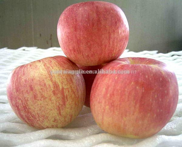 Fuji Apple (Fuji Apple)