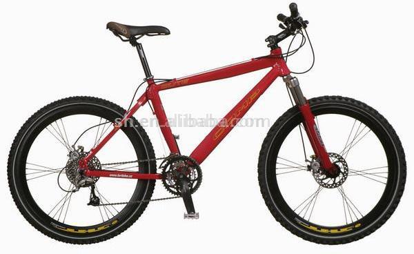 Mountain Bike (Mountain Bike)