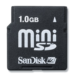 Sandisk Mini SD Memory Card (Sandisk Mini SD Memory Card)