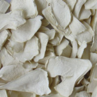  Dehydrated Horseradish Flakes