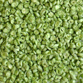 Freeze Dried Grüne Bohnen (Freeze Dried Grüne Bohnen)