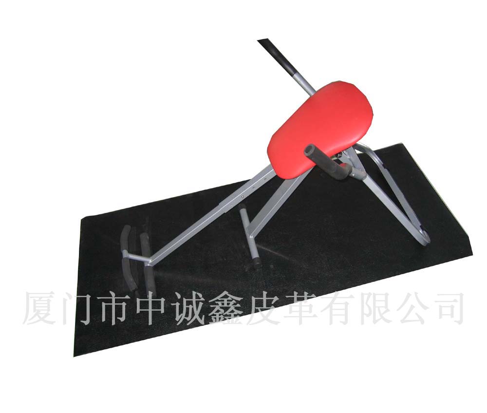  Mat for Fitness Equipment (Passe-partout pour le Fitness Equipment)