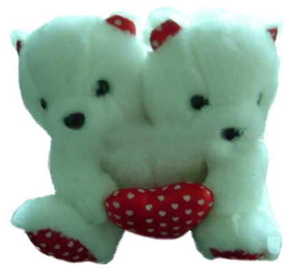  Plush Toy Gift (Plush Toy Gift)