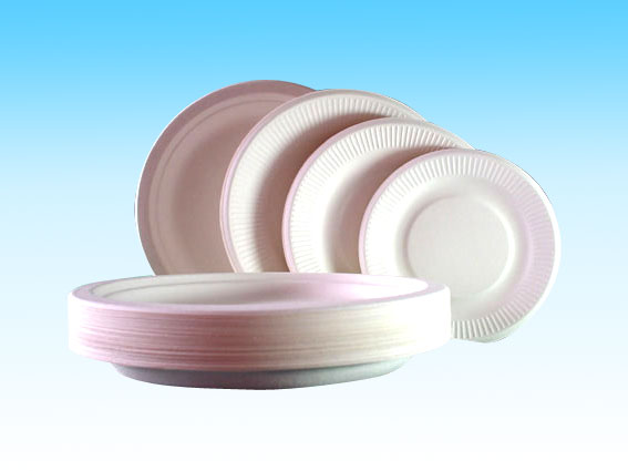  Biodegradable Pulp Mold, Disposable Paper Plate (Biodégradable Pâte Mold, jetables Assiettes en papier)