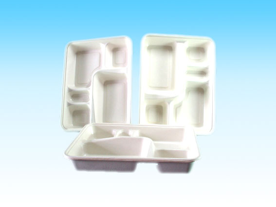  Biodegradable Pulp Mold, Disposable Paper Tray (Biodégradable Pâte Mold, jetables Bac à papier)