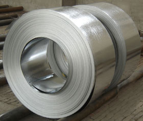  Galvanized Steel Strips (Acier galvanisé Strips)