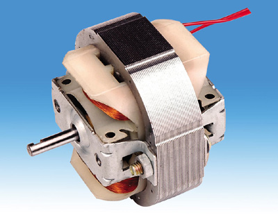  Shade Pole Motor 5813