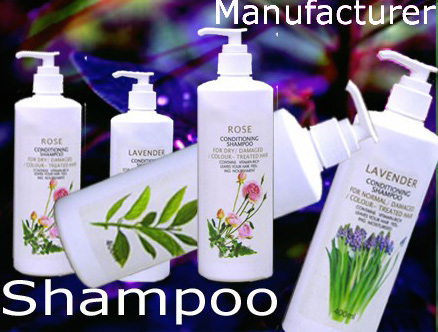  Shampoo