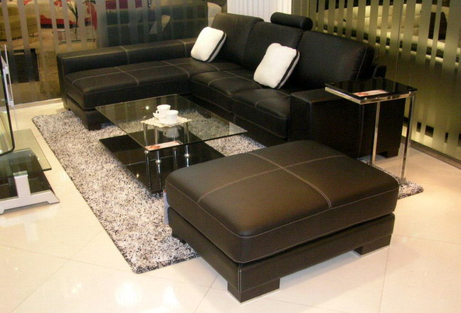  Leather Sofa (Leather Sofa)