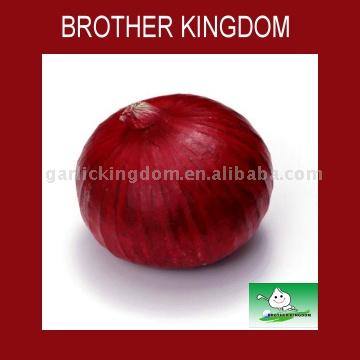  Red Onion (Красный лук)