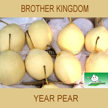  Ya Pear (Я. груша)