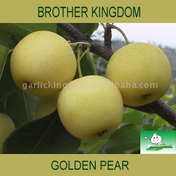  Golden Pear (Золотая груша)