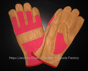  Garden Gloves ( Garden Gloves)