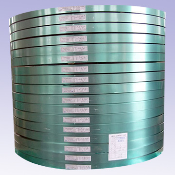  Coated Steel Tape (Acier recouvert de bandes)