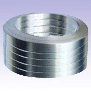  Stainless Strips ( Stainless Strips)