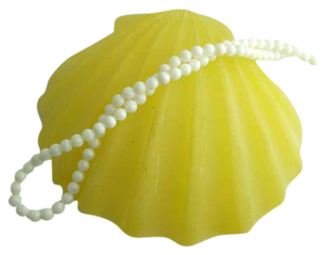  Shell Necklace (Shell Necklace)