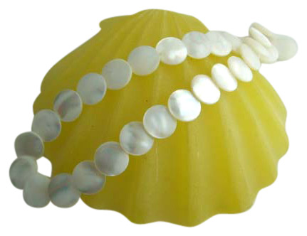  Shell Necklace ( Shell Necklace)