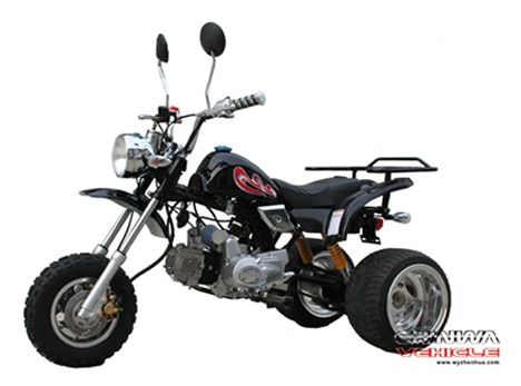  50cc-110cc Tricycle (50cc 10cc Трицикл)