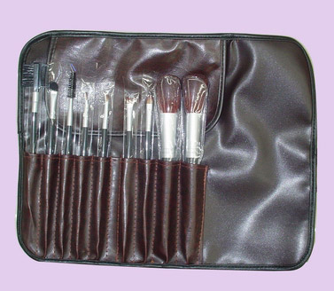  9-Piece Cosmetic Brush Set in PEO Bag