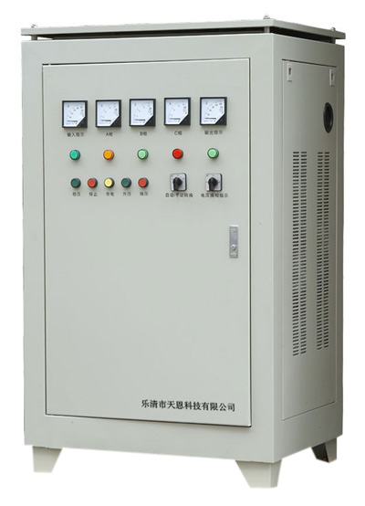  SBW Series Voltage Stabilizer (SBW Série Stabilisateur de Tension)