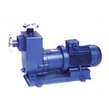 Stainless Steel Selbstansaugende Magnetic Pump (Stainless Steel Selbstansaugende Magnetic Pump)