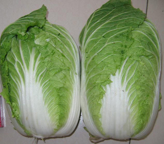  Chinese Cabbage (Китайская капуста)