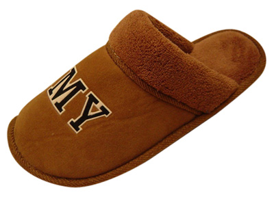  Winter Slipper (Hiver Slipper)