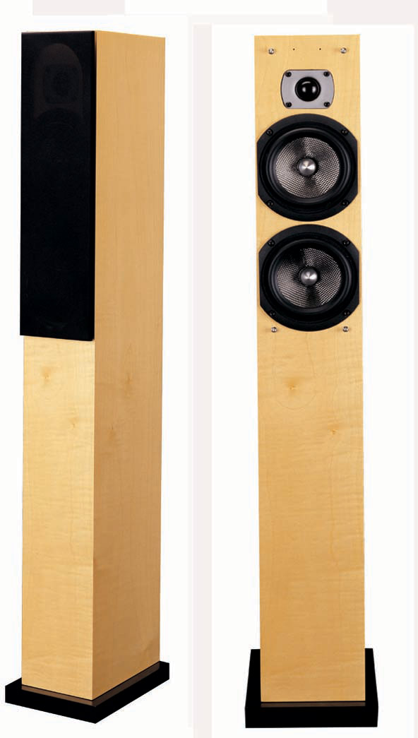  Floor-Standing Speaker System ( Floor-Standing Speaker System)