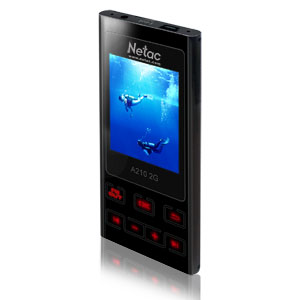  2" TFT Display Car MP3 Player ( 2" TFT Display Car MP3 Player)