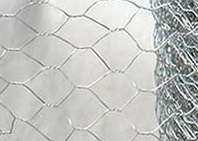  Hexagonal Wire Netting (Hexagonal Wire Netting)