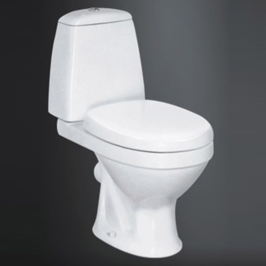 Washdown Two-Piece WC (Washdown Two-Piece WC)