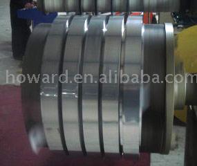  Stainless Steel Strip (Stainless Steel Strip)