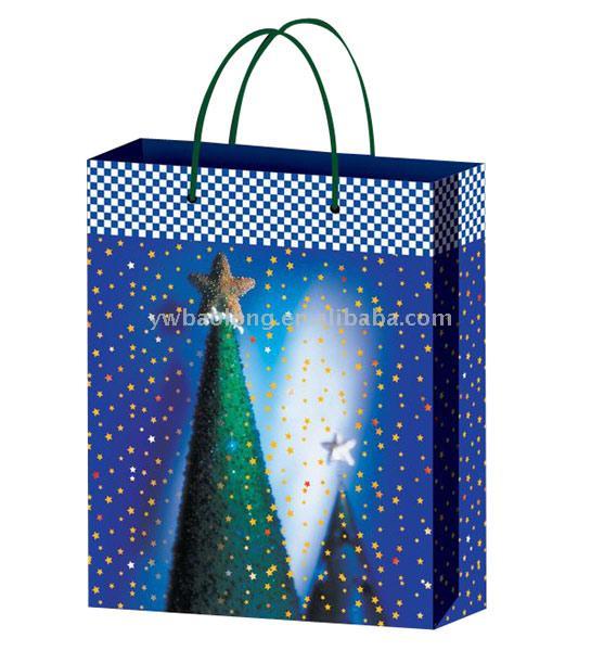  PP & Paper Shopping Bag (PP & Paper Shopping Bag)