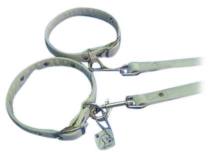  Pet Collar & Leash ( Pet Collar & Leash)