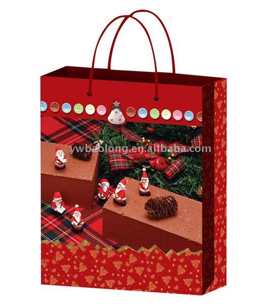  PP & Paper Shopping Bag (PP & Paper Shopping Bag)