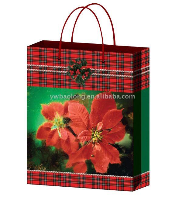  PP & Paper Shopping Bag (PP & Paper Shopping Bag)