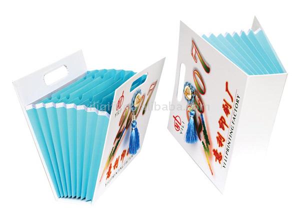  File Folder (File Folder)