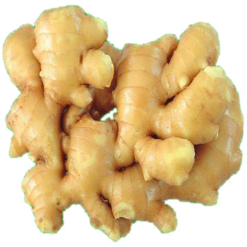  Fresh Ginger (Gingembre frais)