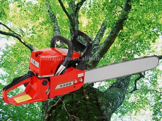  YD52 Gasoline Chainsaw (Essence YD52 Chainsaw)