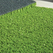  Artificial Grass For Tennis Court (Artificial Grass Pour Court de Tennis)