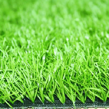  Leisure Grass (Leisure Grass)