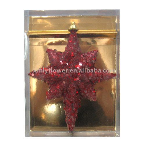 Christmas Star (Christmas Star)