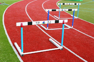  Hurdle (Hurdle)