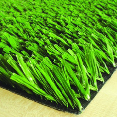  Artificial Grass (Artificial Grass)