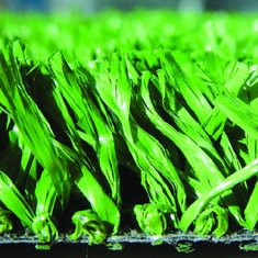  Artificial Grass (Artificial Grass)